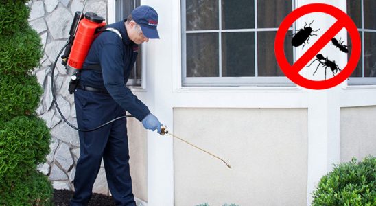 Doğanyurt Bit İlaçlama böcek ilaçlama ve haşere kontrolü — ilaclama-tr.com